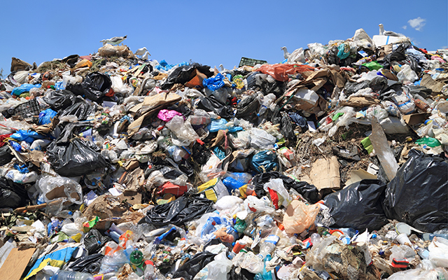 Piles of Trash Now Illegal in NYC